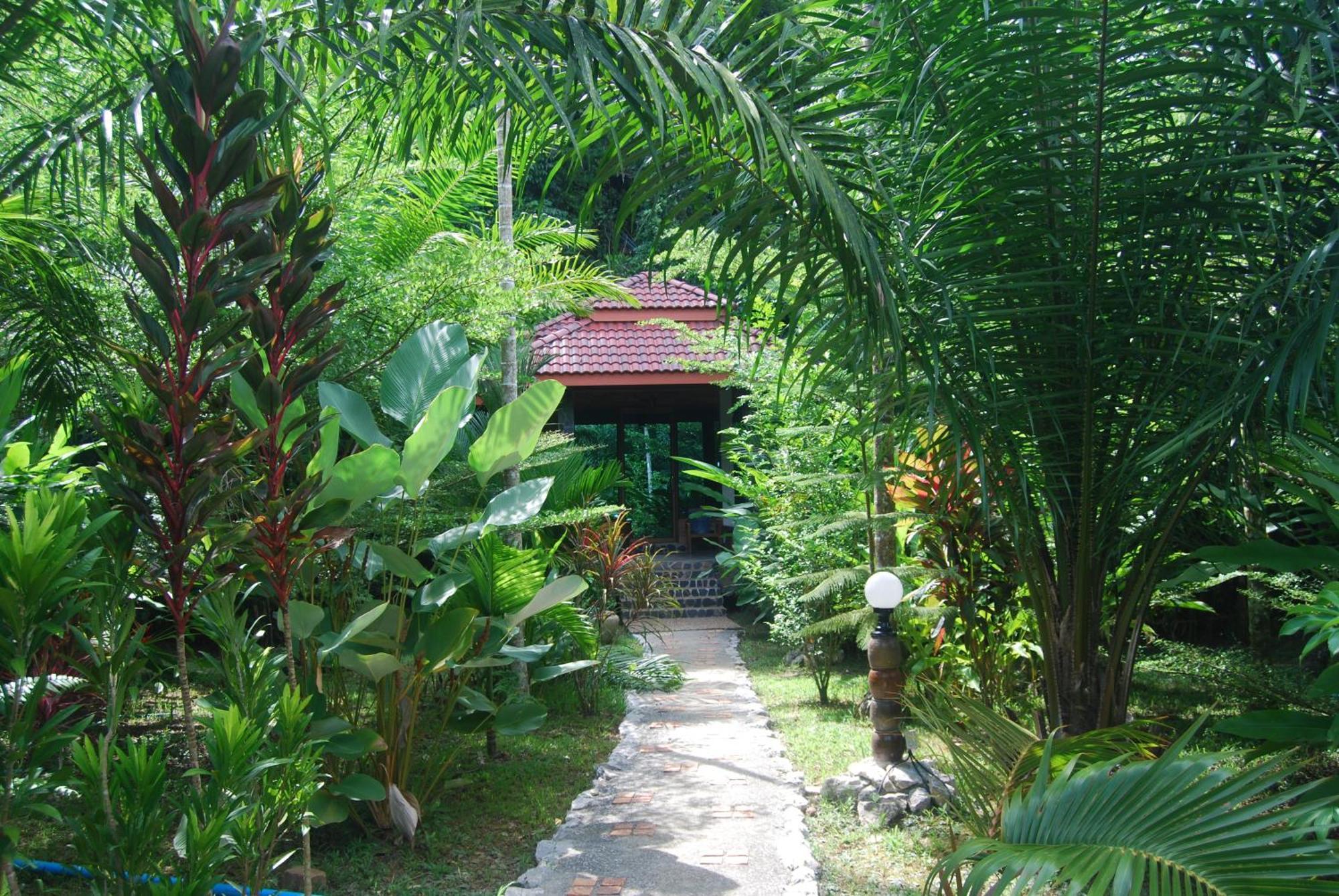 Hotel Khaosok And Spa Khao Sok National Park Esterno foto